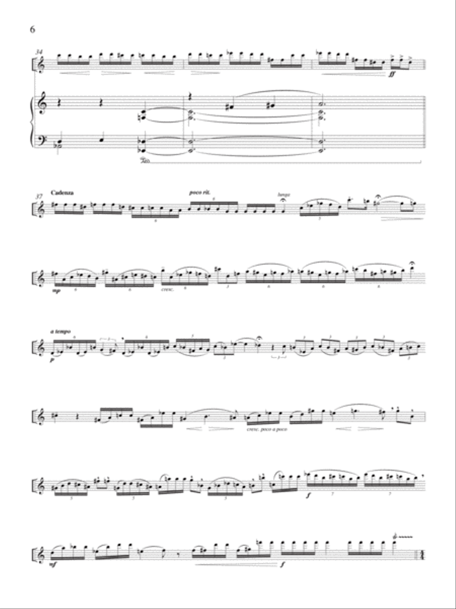 Concerto for Piccolo Solo and Chamber Orchestra (Downloadable Piano/Piccolo Score & Part) Chamber Orchestra scores gallery preview page 6