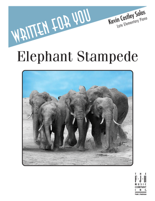 Book cover for Elephant Stampede