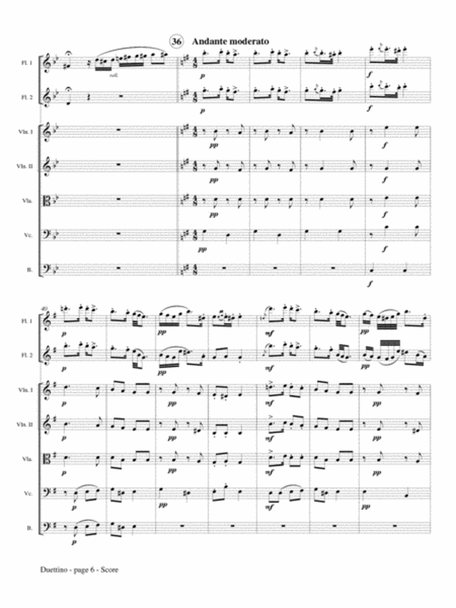 Duettino sur des Motifs Hongrois, Op. 36 (Two Flutes and Strings)