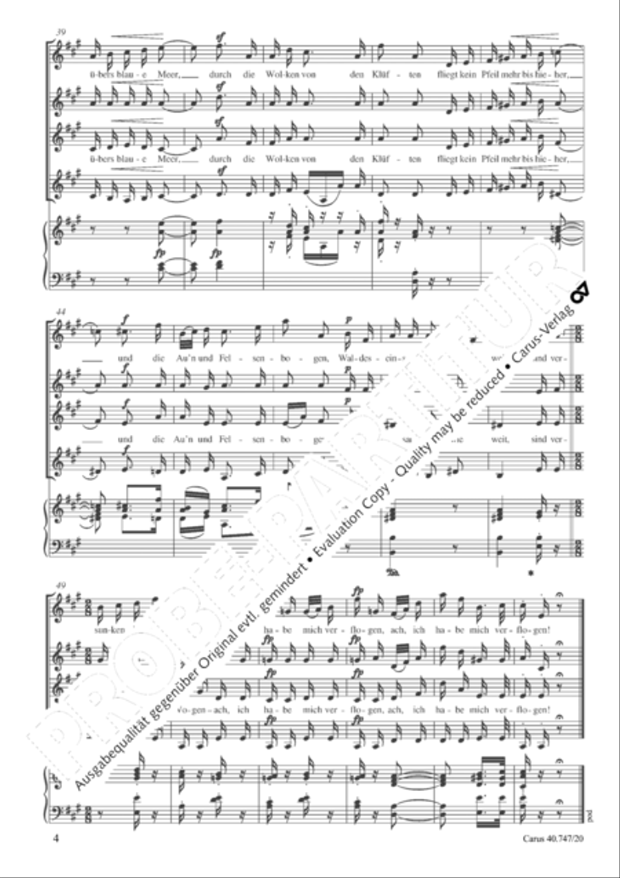 Waldmadchen Waldmadchen SSAA scores gallery preview page 5