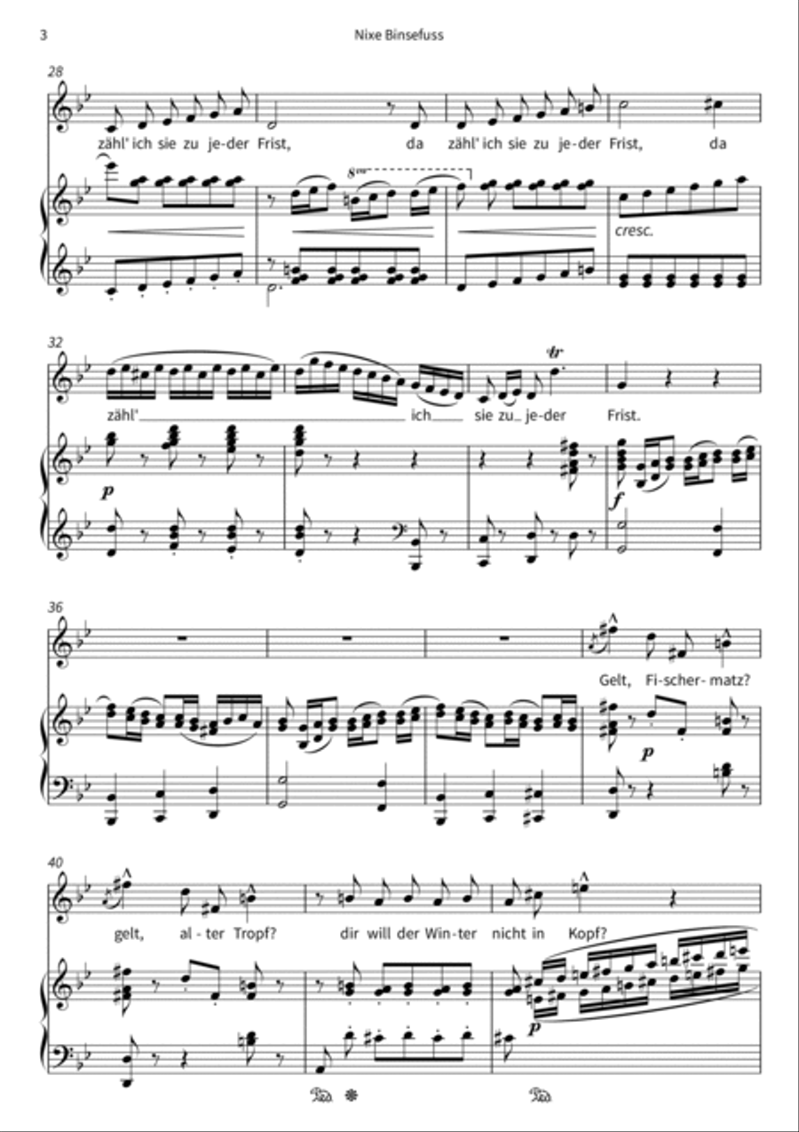 Nixe Binsefuss Voice Solo scores gallery preview page 5