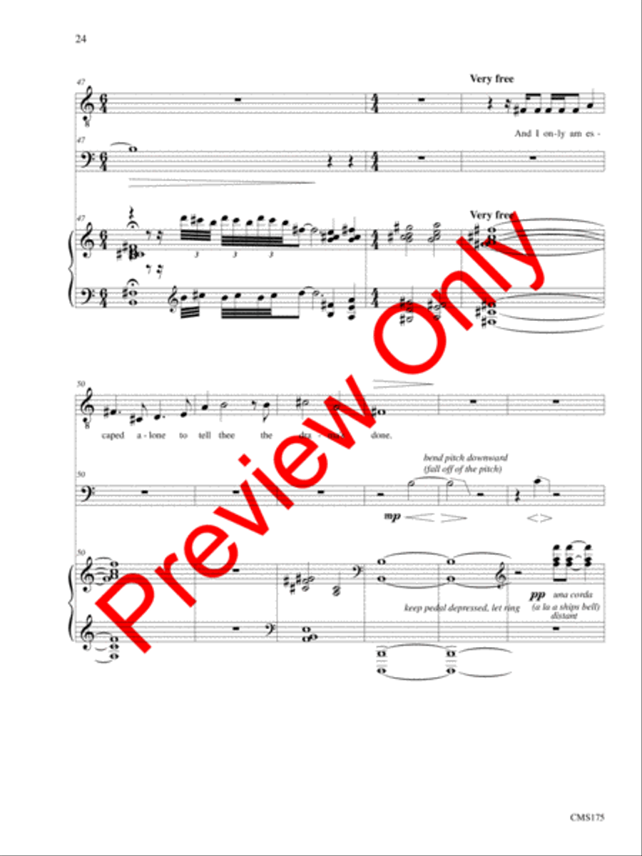 Songs of Solemn Confession: A Song Cycle Bassoon scores gallery preview page 25