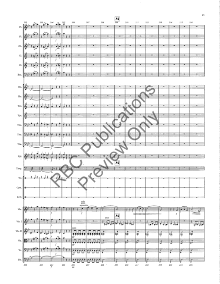 Danse Macabre Full Orchestra scores gallery preview page 18