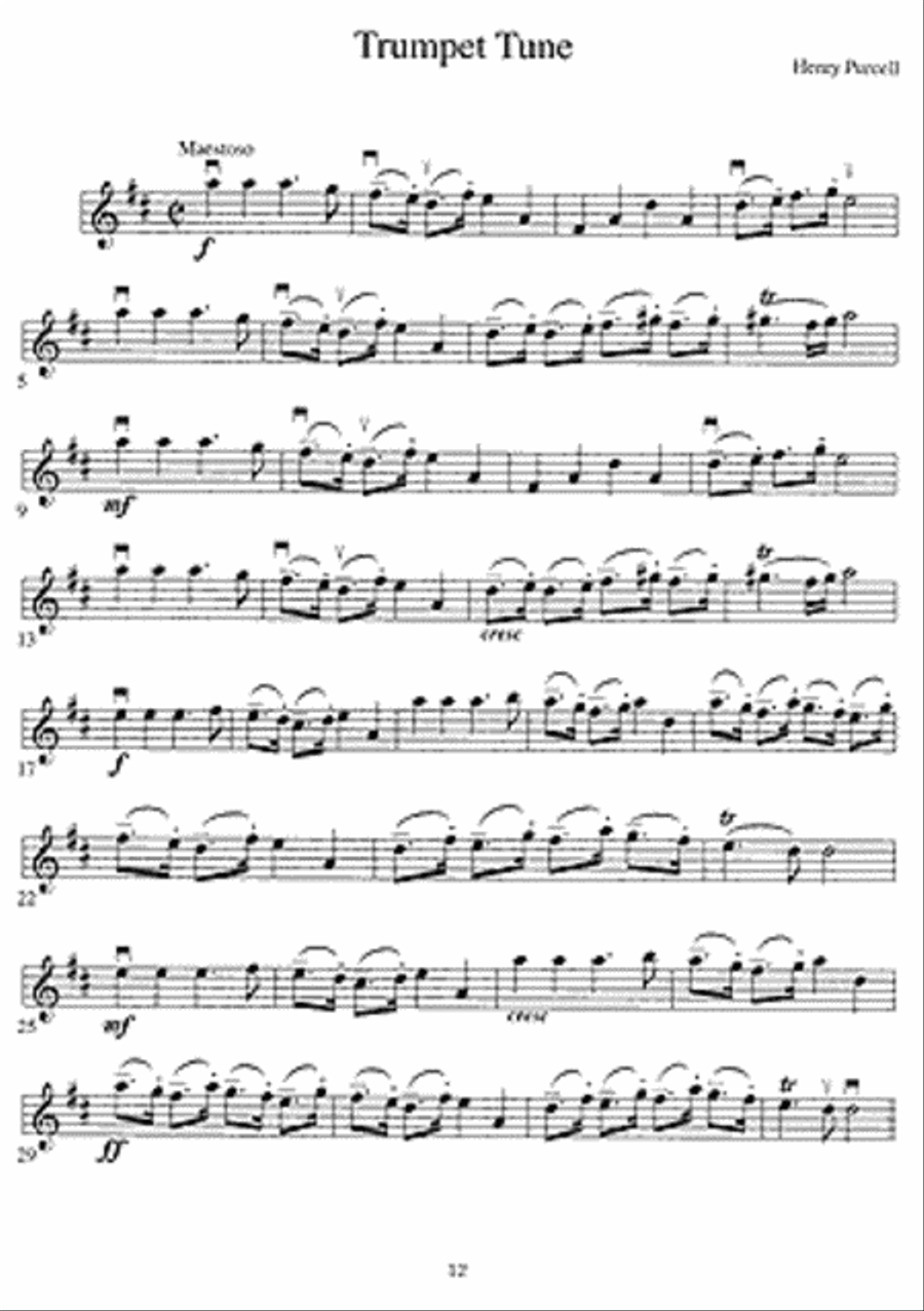 Solo Pieces for the Intermediate Violinist Violin Solo scores gallery preview page 2