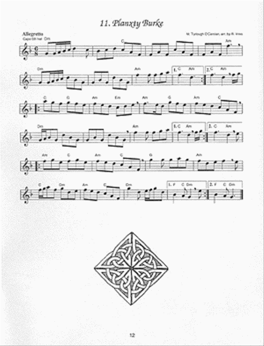 O'Carolan's Tunes for Treble/Alto Recorder Alto Recorder scores gallery preview page 2