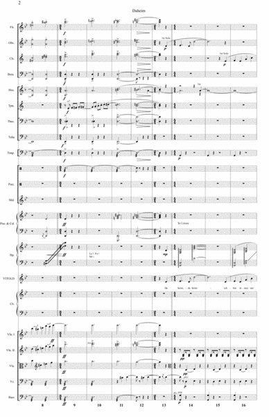 Joseph Beer - Daheim, Daheim (from the Singspiel Opera La Polonaise) Full Score and Parts image number null