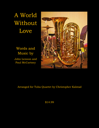 Book cover for World Without Love