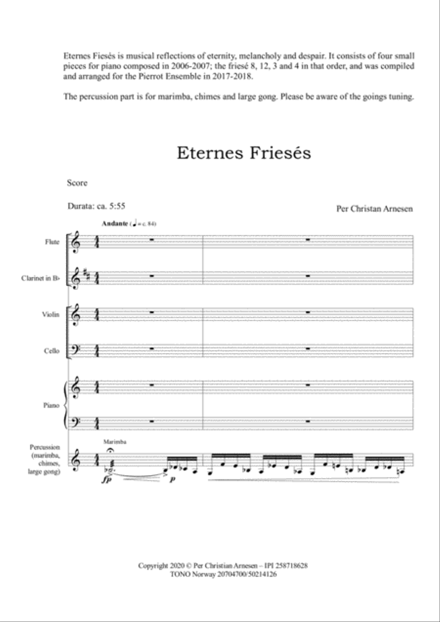 Eternes Friesés Eternes Friesés Chamber Orchestra scores gallery preview page 2