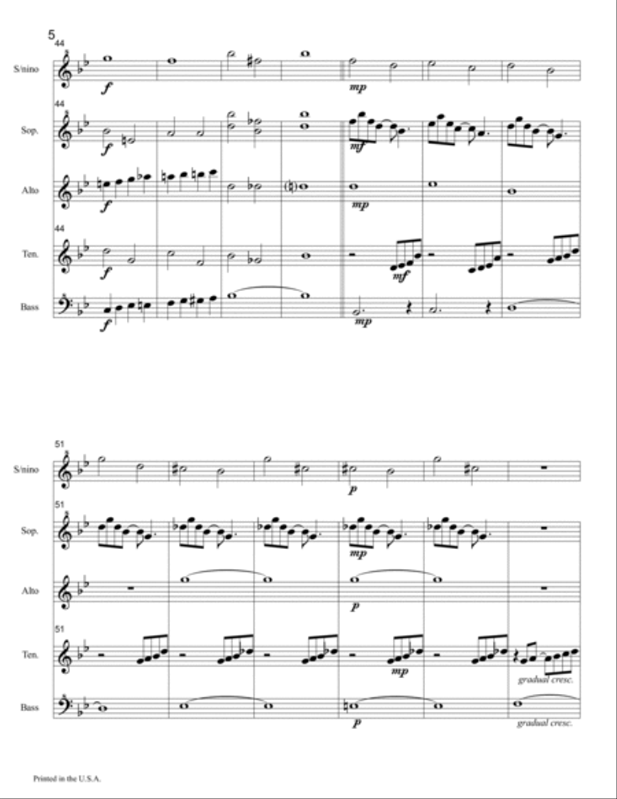 Chief Niwot Rag for Recorder Ensemble Soprano Recorder scores gallery preview page 5