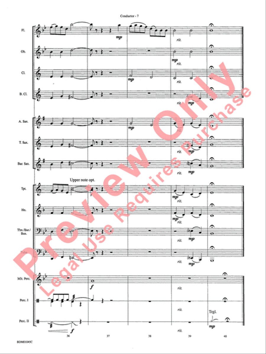 Ayrshire Portrait Concert Band scores gallery preview page 10