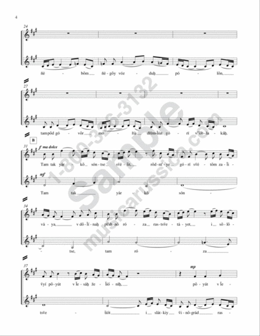Polovetsian Dances from 'Prince Igor' (Choral Parts) 4-Part scores gallery preview page 3