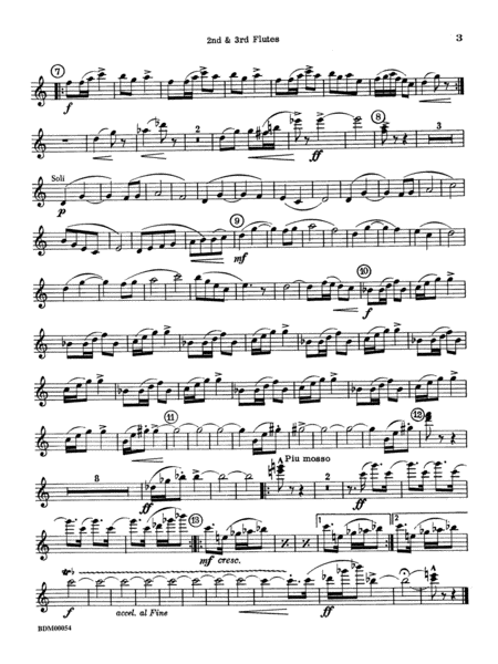 Symphonic Suite: 2nd Flute