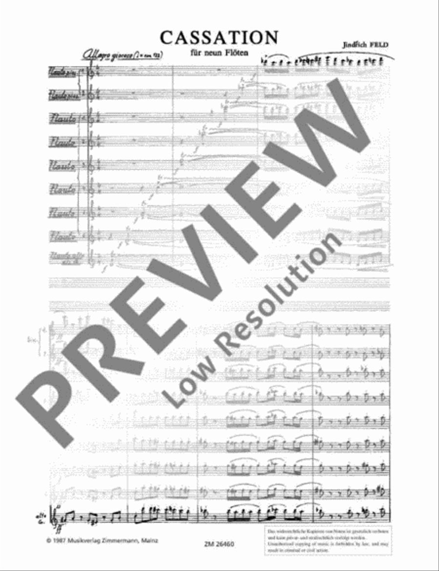 Cassation Cassation Flute scores gallery preview page 3