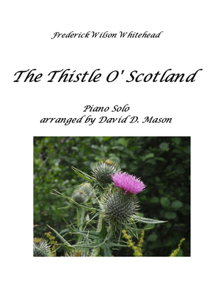 Book cover for The Thistle O' Scotland