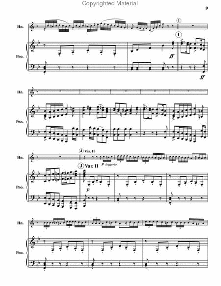 Fantasy and Variations on the Carnival of Venice Piano Accompaniment scores gallery preview page 5