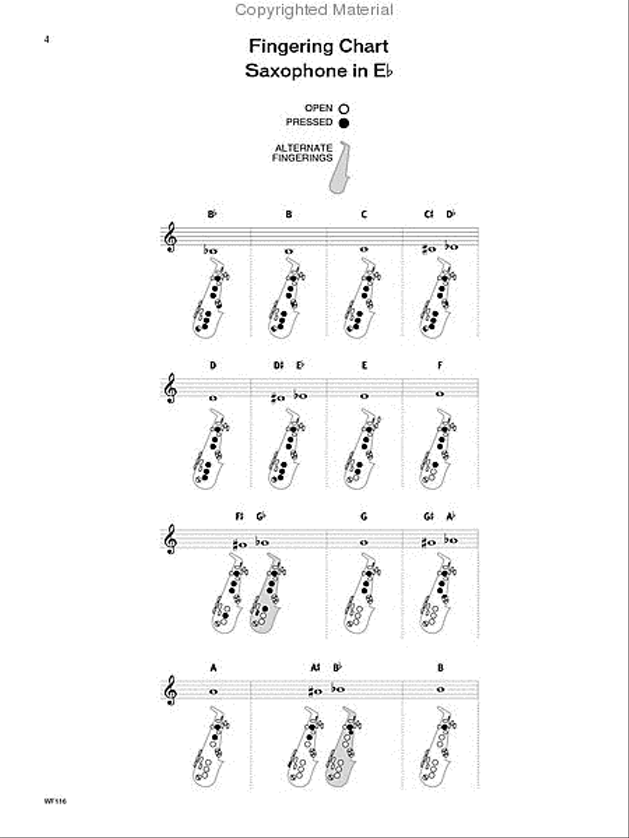 I Used to Play Alto Saxophone Alto Saxophone scores gallery preview page 2