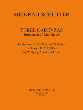 Book cover for 3 Cadenzas "Promenades a Mannheim"