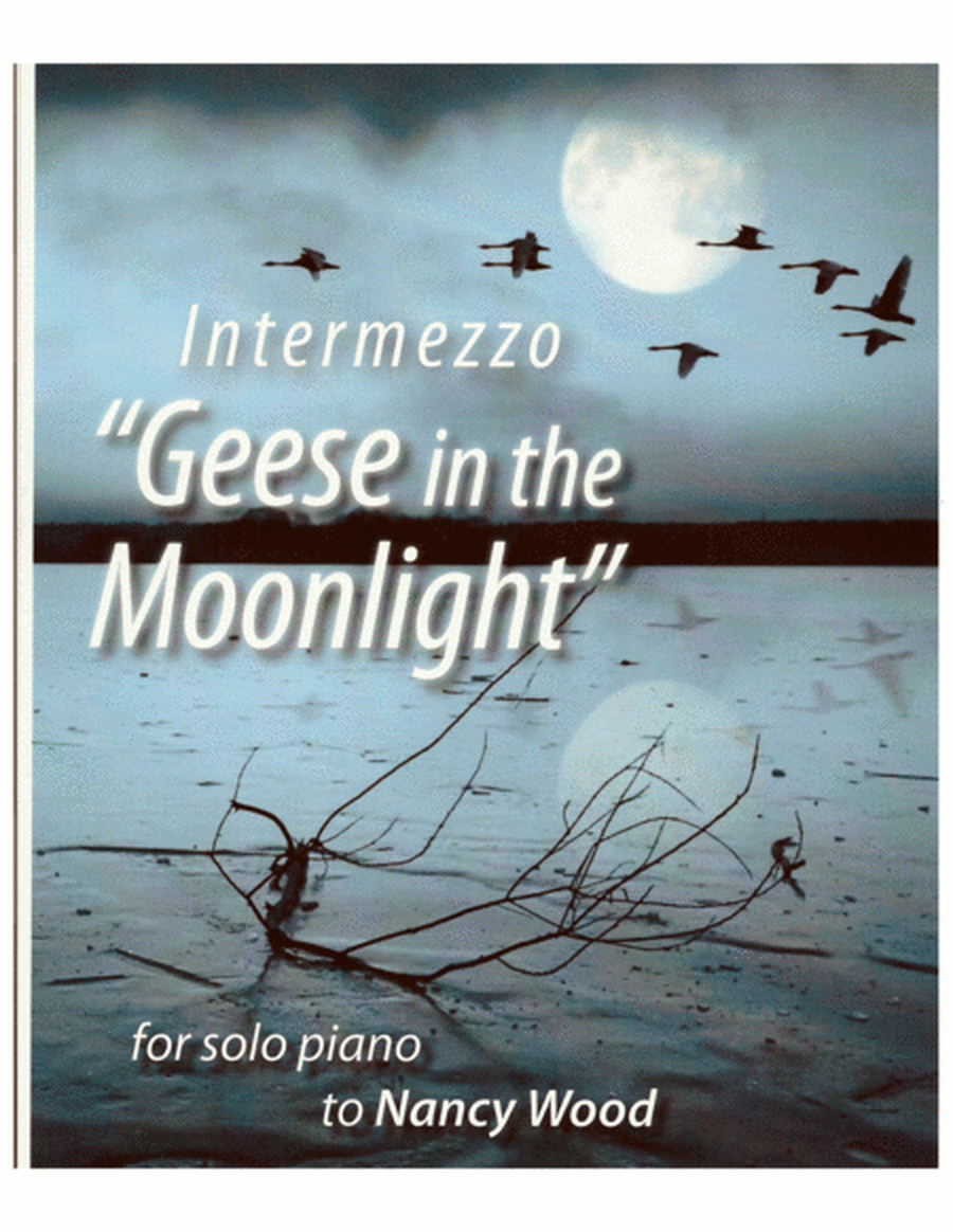 Intermezzo No.1 "Geese in the Moonlight" image number null