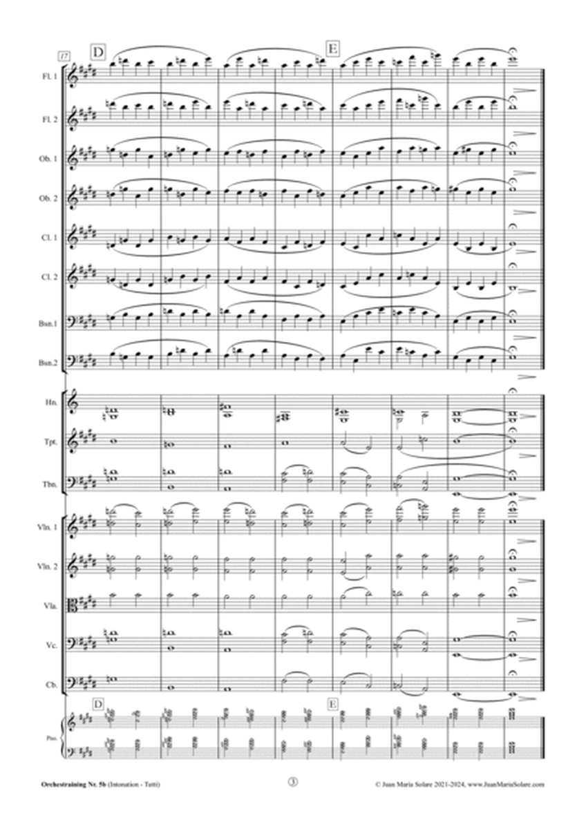 Orchestraining No. 5b [Orchestra]