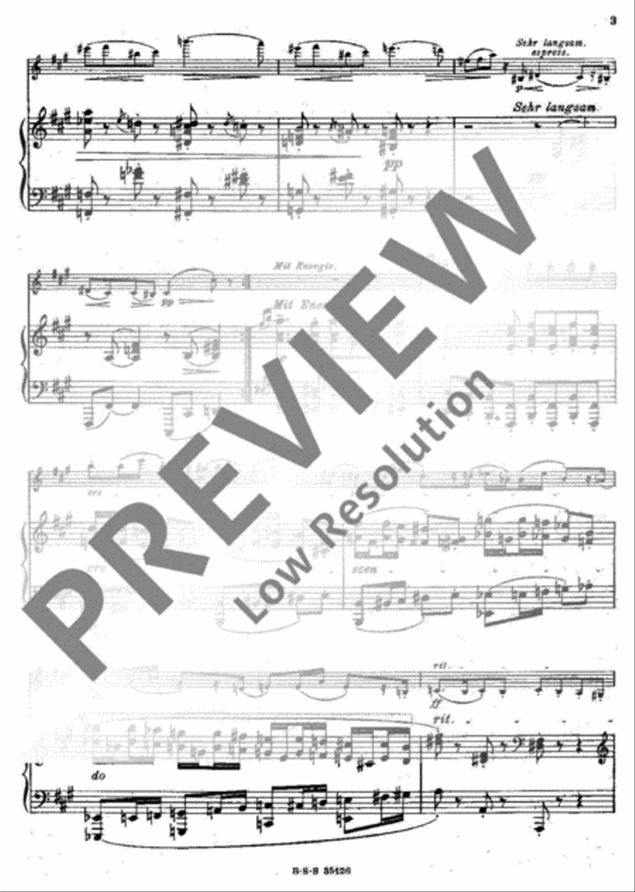 Grillen Violin Solo scores gallery preview page 3