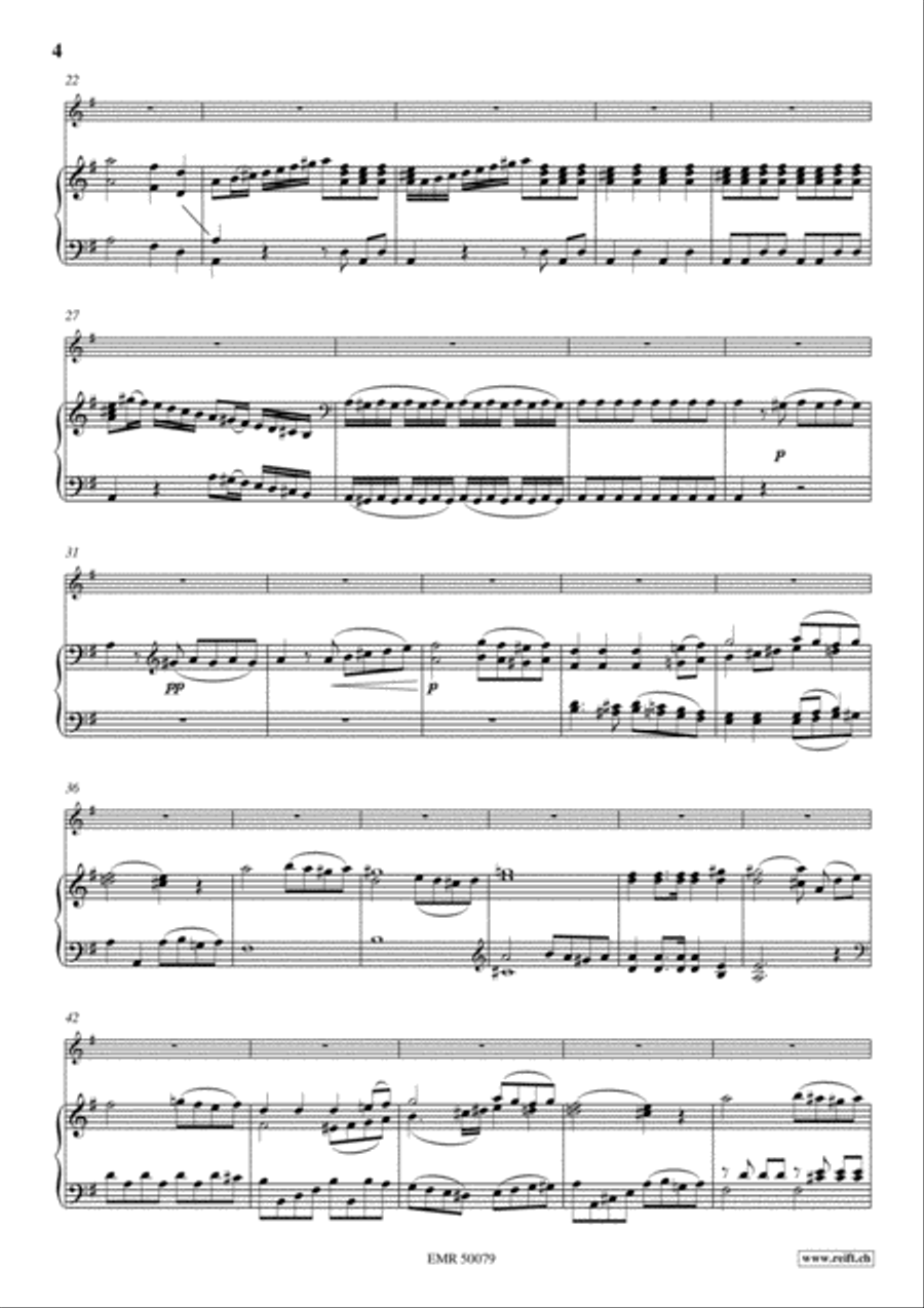 Concerto Concerto Flute Solo scores gallery preview page 5