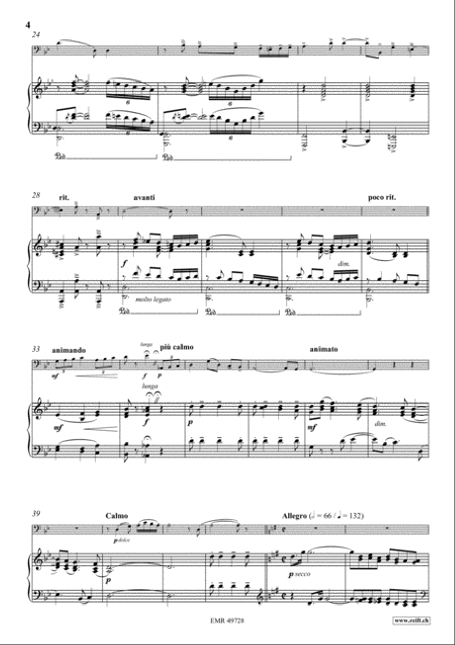 Fantasia Piano Accompaniment scores gallery preview page 4