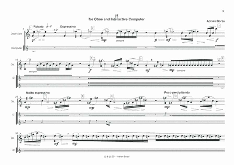 If (for Oboe and Computer)