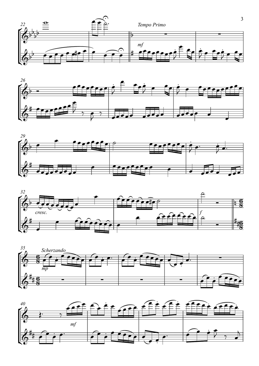 Here come the troubadours op. 30 for Flute and Clarinet - full score Woodwind Duet scores gallery preview page 3
