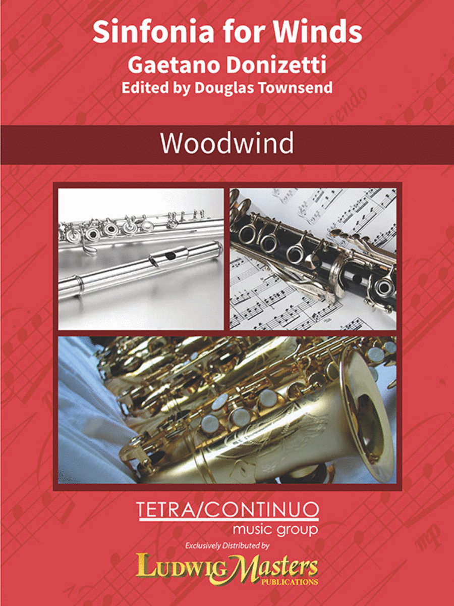 Sinfonia for Winds in G minor, A 509 (Sinfonia für Bläser) Concert Band scores gallery preview page 1