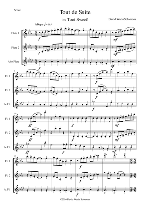 Book cover for Tout de Suite (or Toot Sweet) for flute trio (2 flutes 1 alto flute)