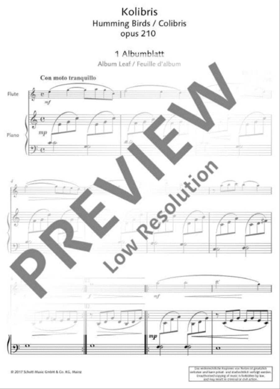 Humming Birds Flute Solo scores gallery preview page 7