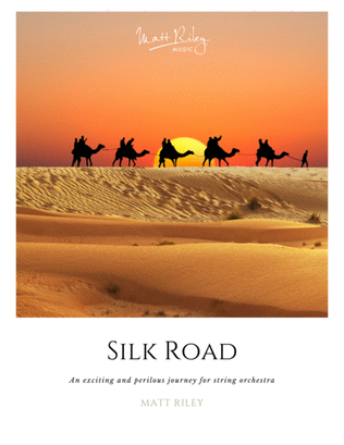 Book cover for Silk Road