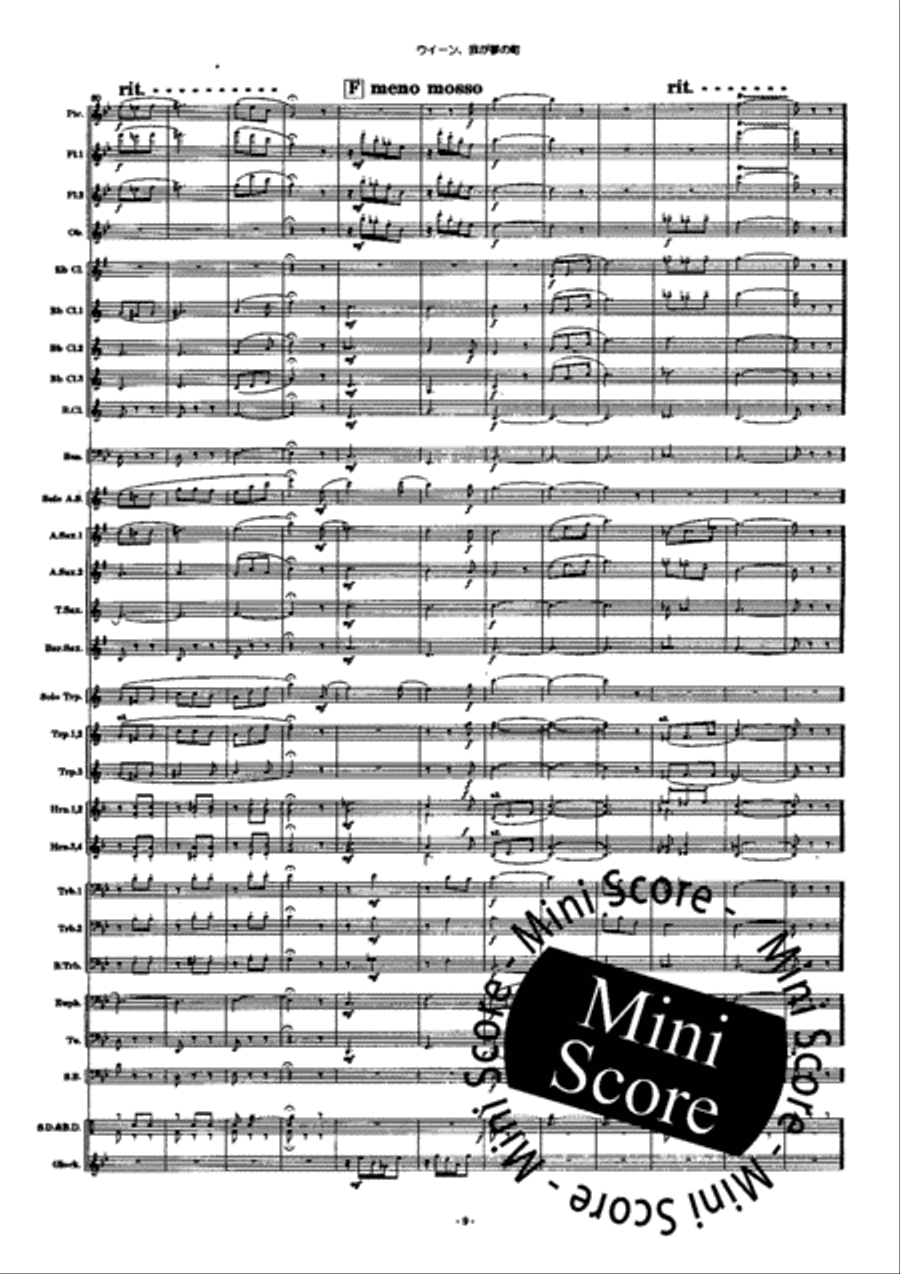 Wien du Stadt Meiner Traume Mixed Choir scores gallery preview page 13