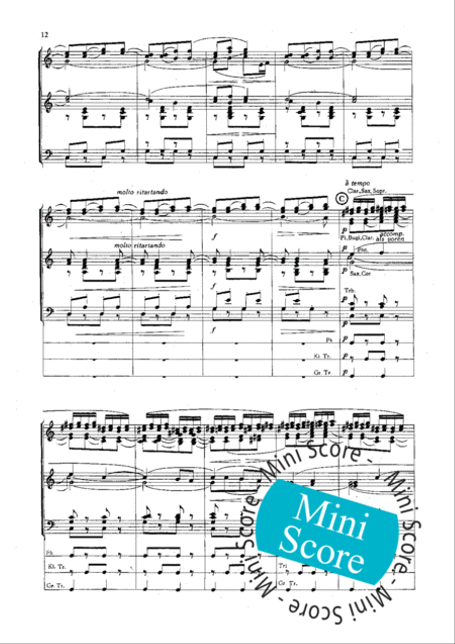 Slavische Dansen No 1,6 en 8 Concert Band scores gallery preview page 14