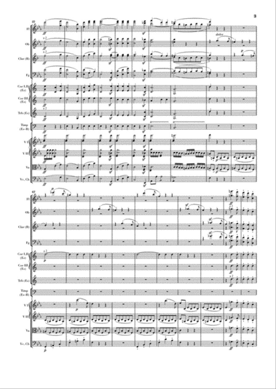 Symphony No. 3 in E-flat Major Op. 55 (Sinfonia Eroica) Orchestra scores gallery preview page 4