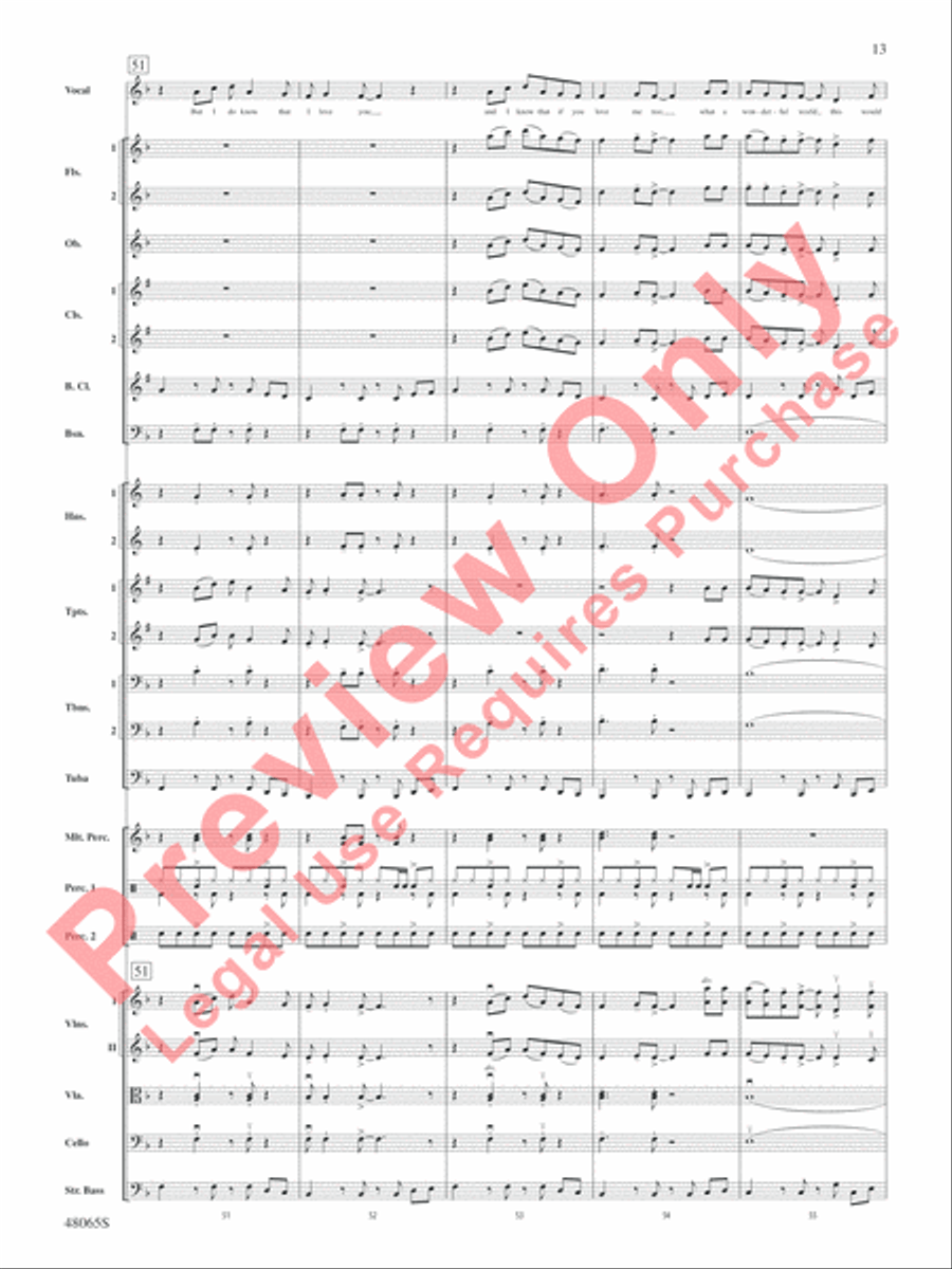 Wonderful Worlds Full Orchestra scores gallery preview page 14