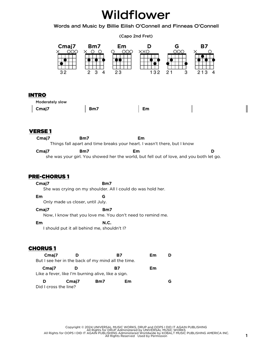 WILDFLOWER Acoustic Guitar scores gallery preview page 1