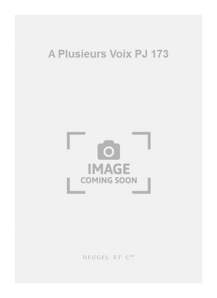 A Plusieurs Voix PJ 173