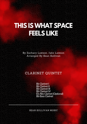 Book cover for This Is What Space Feels Like
