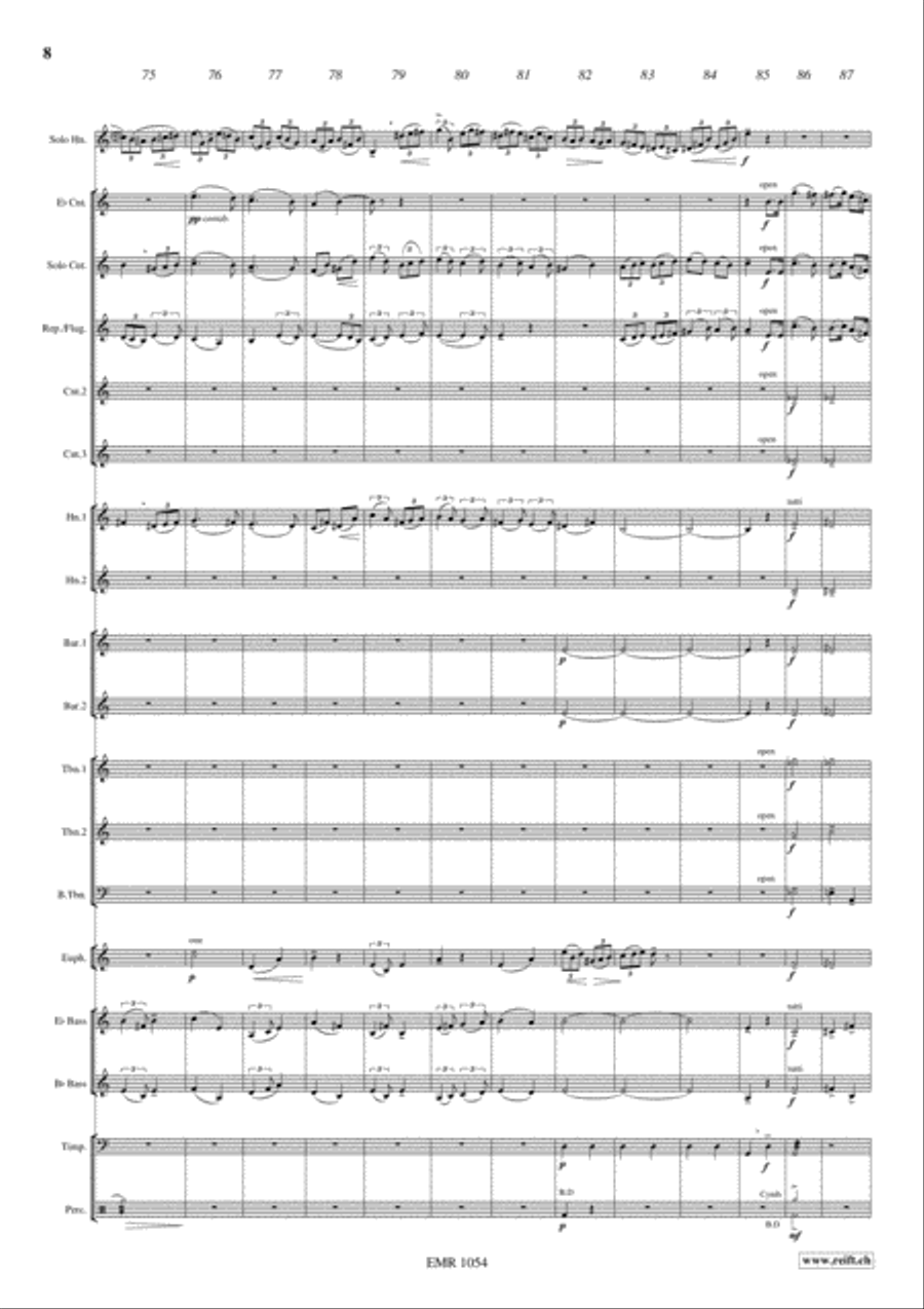 Nordlicht Variationen Brass Band scores gallery preview page 9