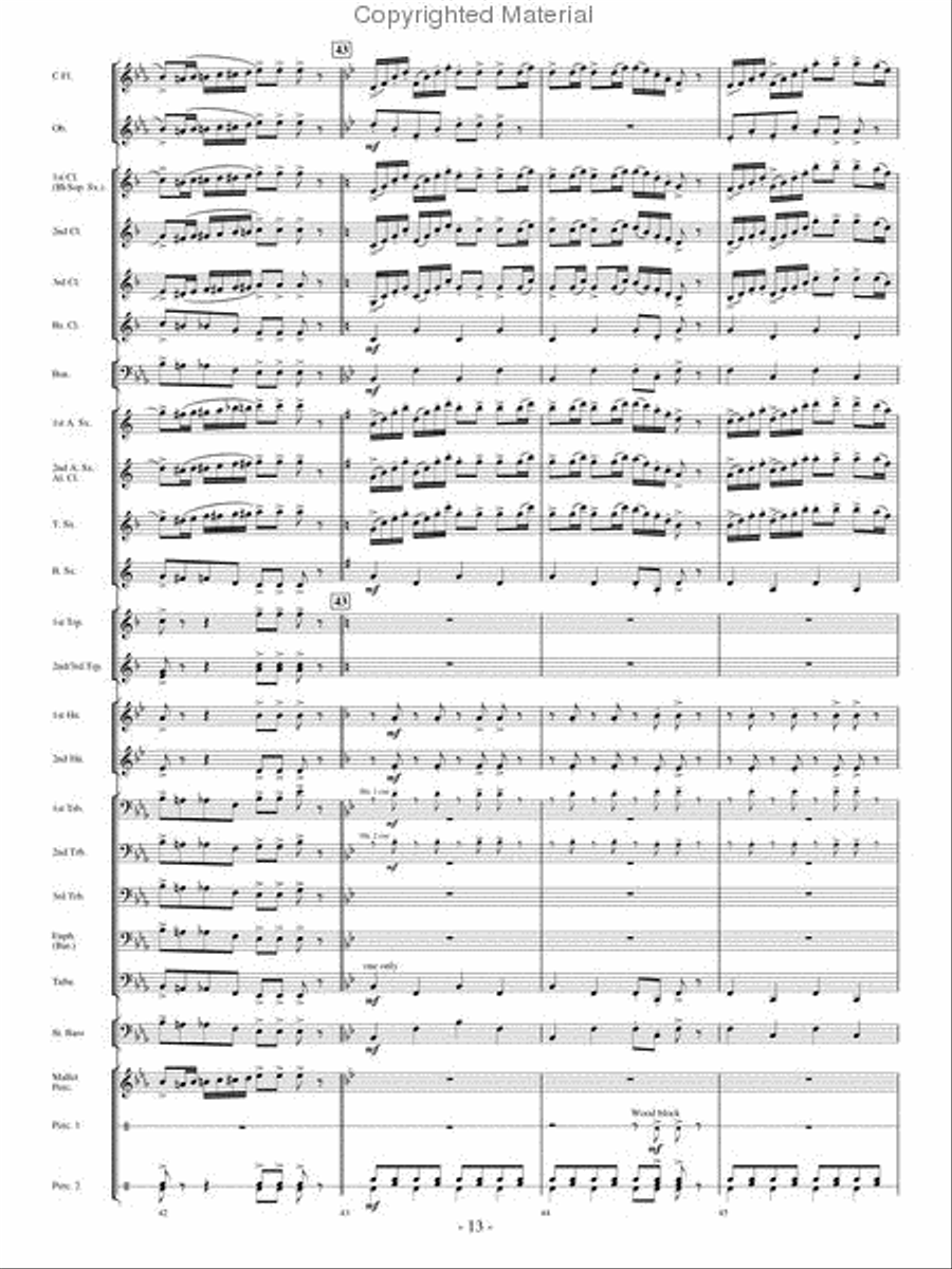 The Woodwind Polka Concert Band scores gallery preview page 12