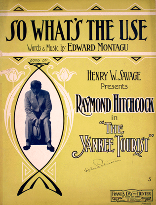Book cover for So What's the Use