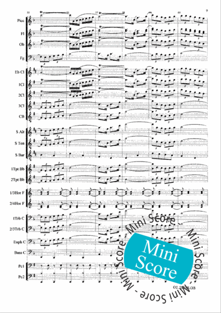 Al Centenario Concert Band scores gallery preview page 13