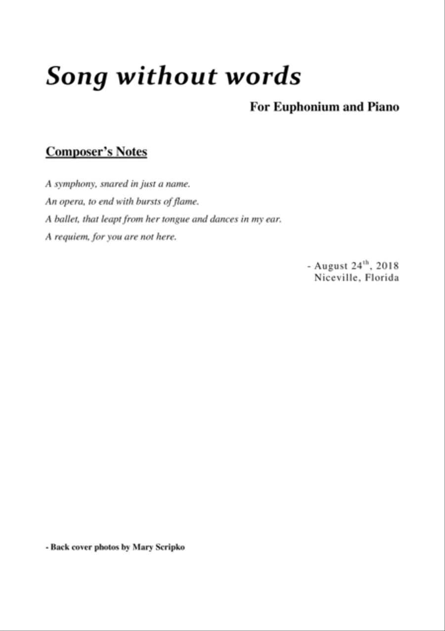 Song without words for Euphonium and Piano Euphonium scores gallery preview page 2