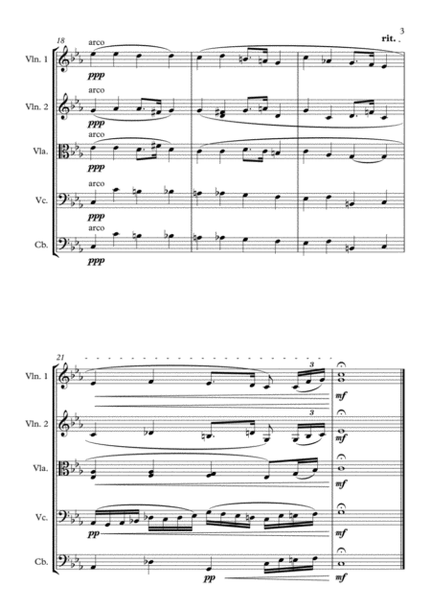 Prelude in C minor Op. 28 No. 20 image number null