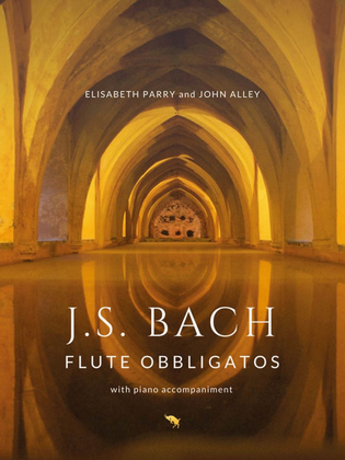 Book cover for Flute Obbligatos Vol. 1