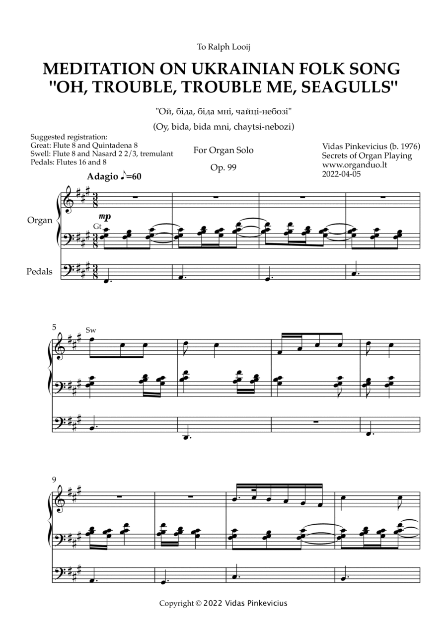 Meditation on Ukrainian Folk Song "Oh, Trouble, Trouble, Me, Seagulls", Op. 99 (Organ Solo)