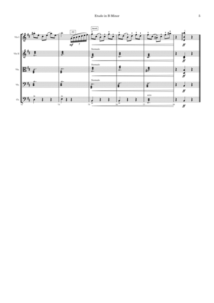 Etude in B Minor (String Orchestra) image number null