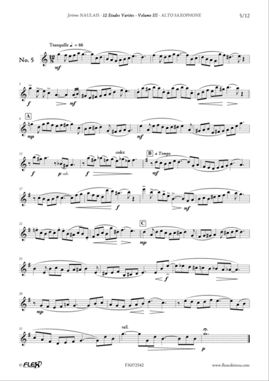 12 Etudes Variees - Volume III Alto Saxophone scores gallery preview page 6