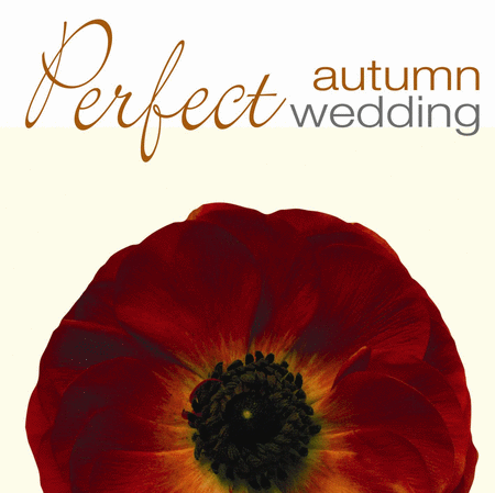 Perfect Autumn Wedding image number null